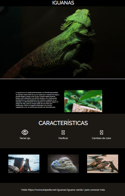 print de pantalla index del tercer desafio
